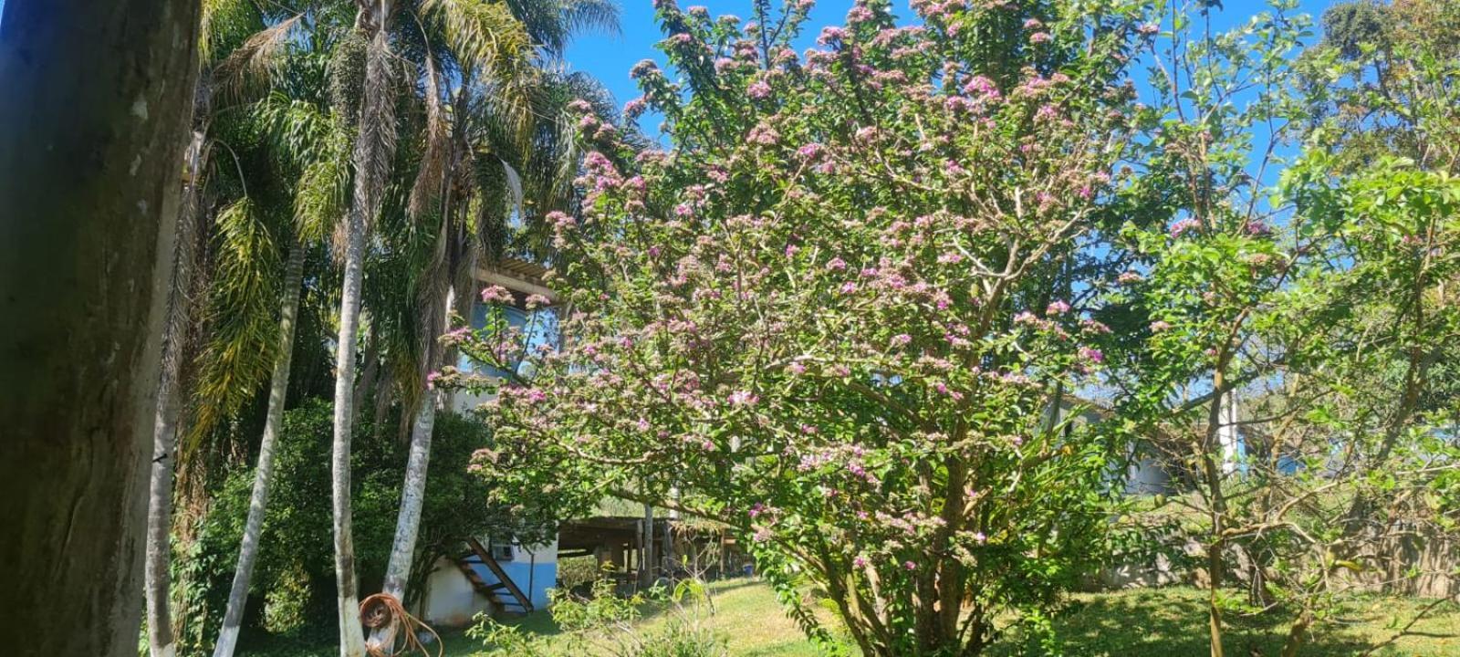 Sitio Ilha Da Madeira Villa São Roque Eksteriør billede